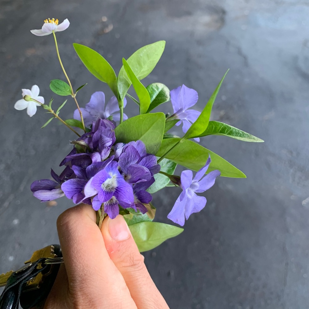 Meet your Posher, Aska